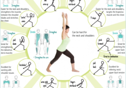Yoga Poses Meaning