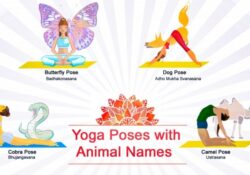 Yoga Poses Named After Animals