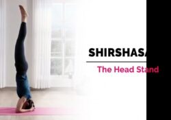 Yoga Poses Sirsasana Ke Fayde