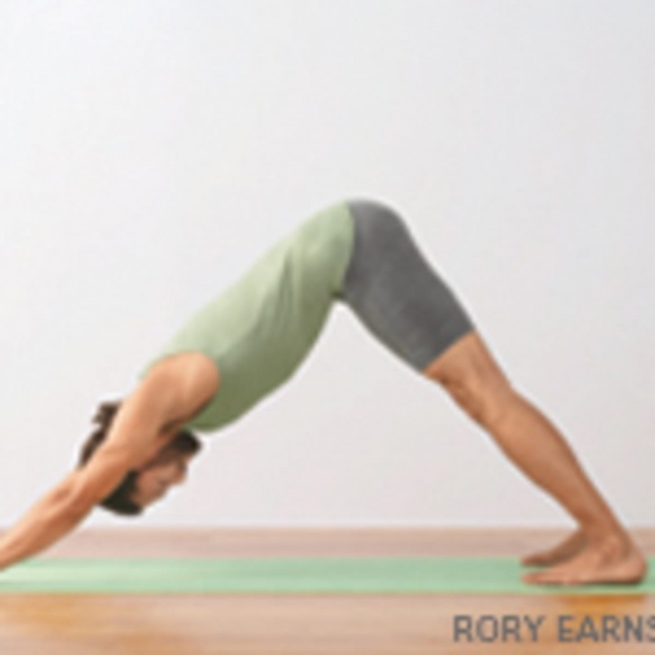 Downward Dog In Yoga