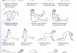 Yoga Asanas Beginners