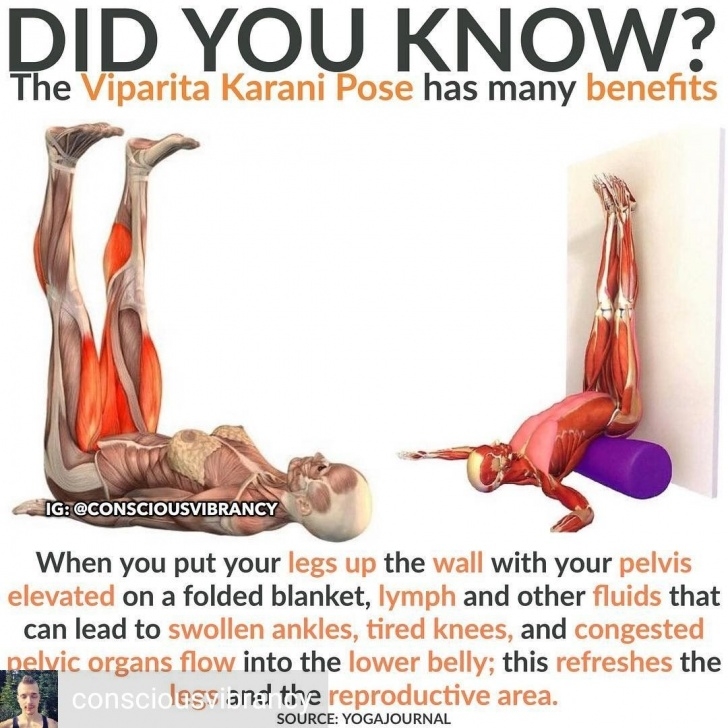 most important yoga poses legs up the wall lymphatic system picture