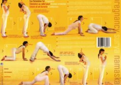 Yoga Poses Sun Salutation For Pregnancy