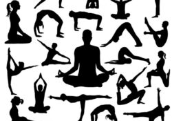 Yoga Pose Vector