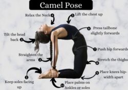 Yoga Poses Benefits Of Ustrasana