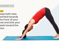 Yoga Poses Downward Facing Dog Beginner