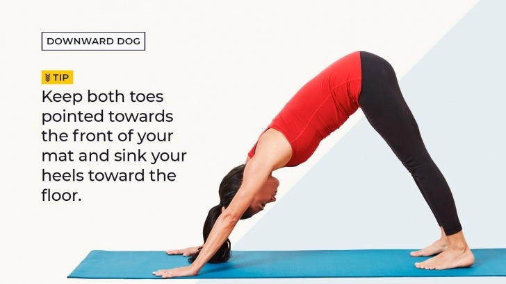 most important yoga poses downward facing dog beginner picture