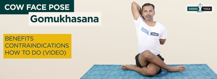 Gomukhasana In Hindi