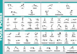 Yoga Poses Poster