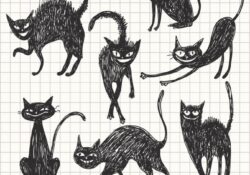 Black Cat Poses