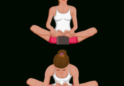 Butterfly Pose Variations