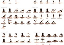 Hatha Yoga Poses Chart