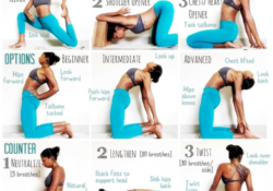Ustrasana Preparatory Poses
