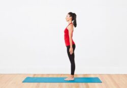 Yoga Exercises Poses