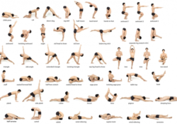 must know yoga moves beginners pictures