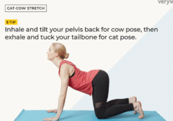 Yoga Poses Cat Cow Stretch