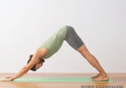 Yoga Poses Downward Facing Dog For Beginners