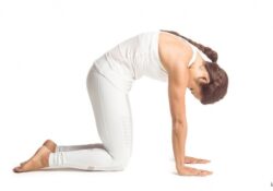Yoga Poses For Lungs