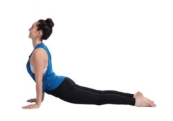 Yoga Poses Upward Dog Reflection