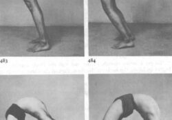 Yoga Poses Urdhva Dhanurasana Iyengar