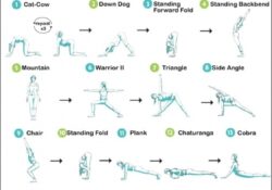 Yoga Sequence Beginner