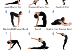Yoga Stretches Routine