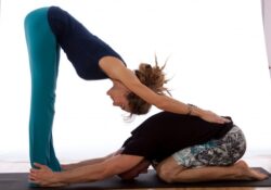 Easy Yoga Poses Partner
