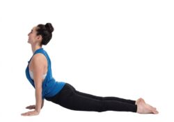 Upward Facing Dog Yoga Pose