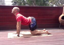 Yoga Poses Cat Cow Crossfit