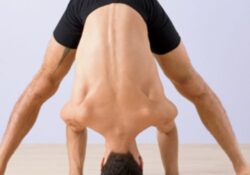 Yoga Poses Prasarita Padottanasana Iyengar
