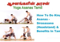 Yoga Poses Sirsasana Benefits In Tamil