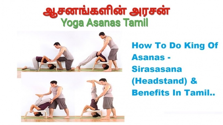 Yoga Positions Downward Dog Yoga Poses