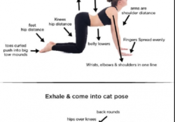 Benefits Of Cat Cow Pose