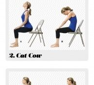 Chair Yoga For Lower Back Pain