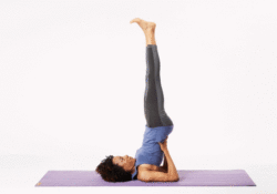 Shoulder Stand Pose Yoga
