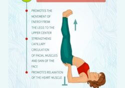 Yoga Poses Viparita Karani Beneficios