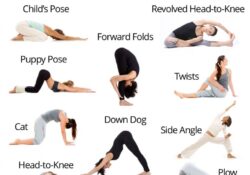 Yoga Stretches For Back
