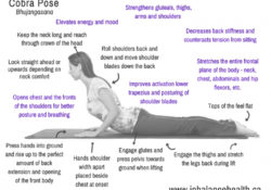 Cobra Pose Yoga Benefits