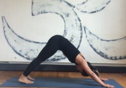 Downward Dog Yoga Clarendon