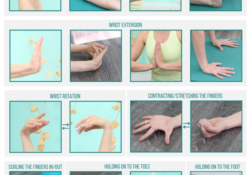 Yoga Hand Positions