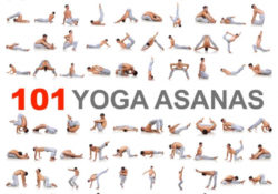 Yoga Poses Asana