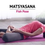 Top Yoga Poses Matsyasana Is Performed In Pictures