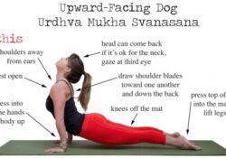 Yoga Poses Upward Facing Dog