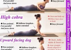 Yoga Poses Upward Facing Dog Vs Cobra